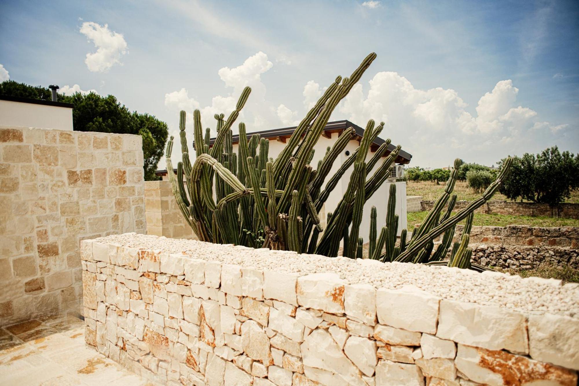 Masseria Fanizzi กอนแวร์ซาโน ภายนอก รูปภาพ