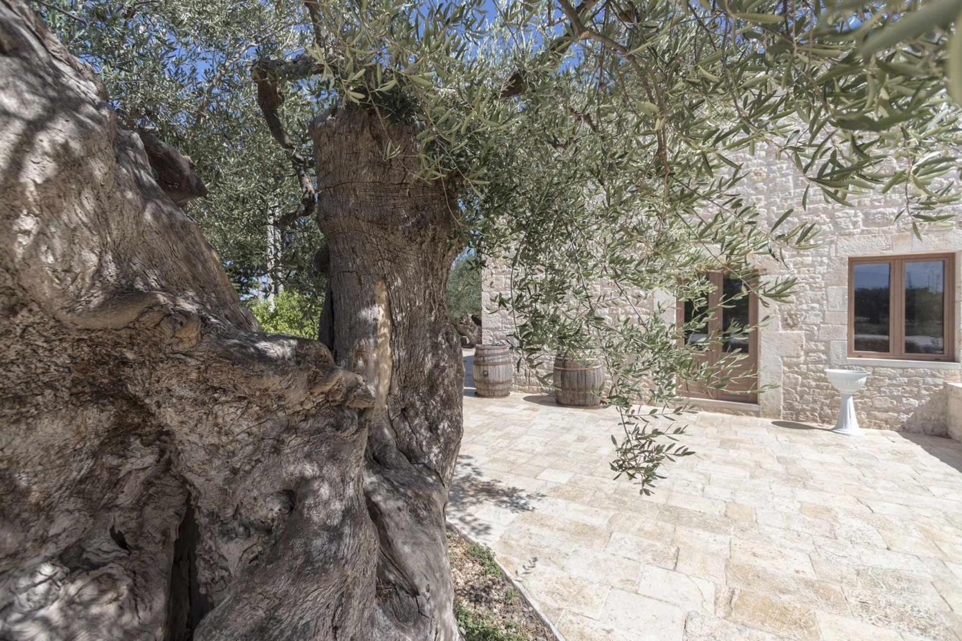 Masseria Fanizzi กอนแวร์ซาโน ห้อง รูปภาพ