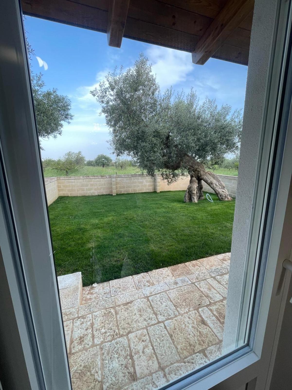 Masseria Fanizzi กอนแวร์ซาโน ห้อง รูปภาพ